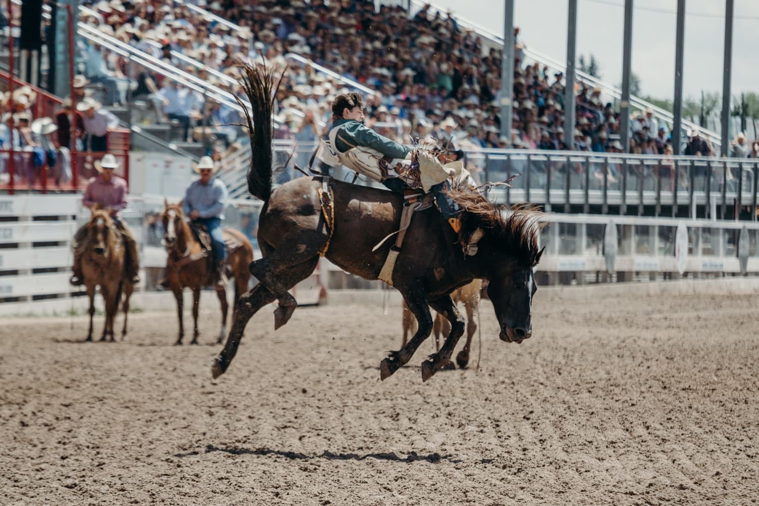 Las Vegas Rodeo 2024 Dates Tickets Price Agna Lorain