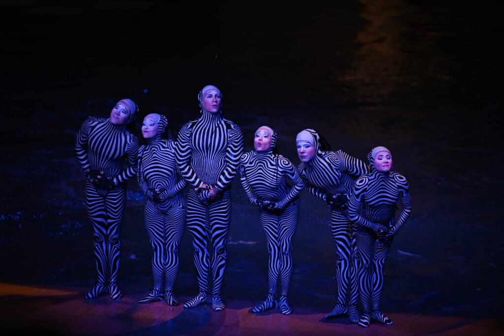 Denise Truscello O Zebras 1