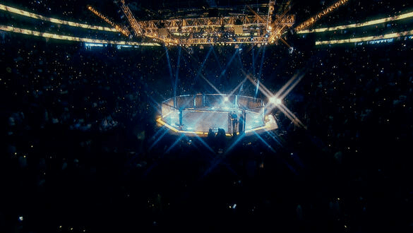 A Ufc Ring