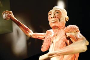 Mgm Resorts Special Offers 15 Bodies 1200X800 1